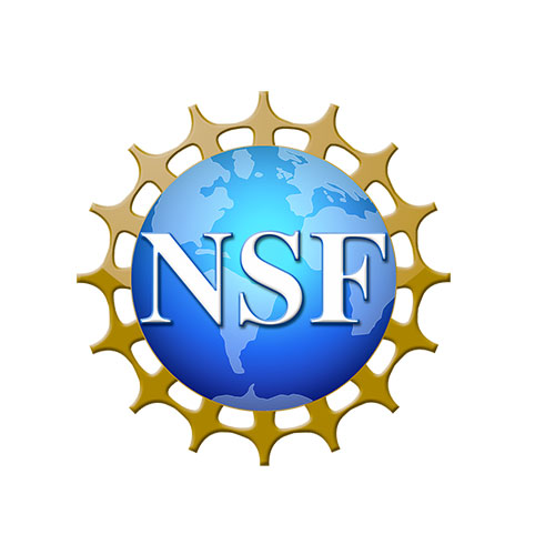 National Science Foundation logo