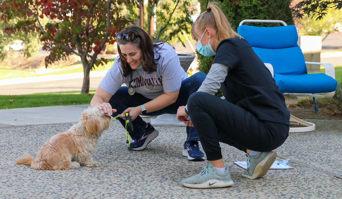 Two YVC Vet Tech students petting dog. 