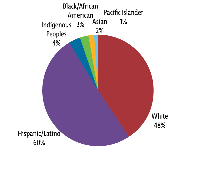 White 48%; Hispanic/Latino 60%; Indigenous Peoples 4%; Black/African American 3%; Asian 2%; Pacific Islander 1%