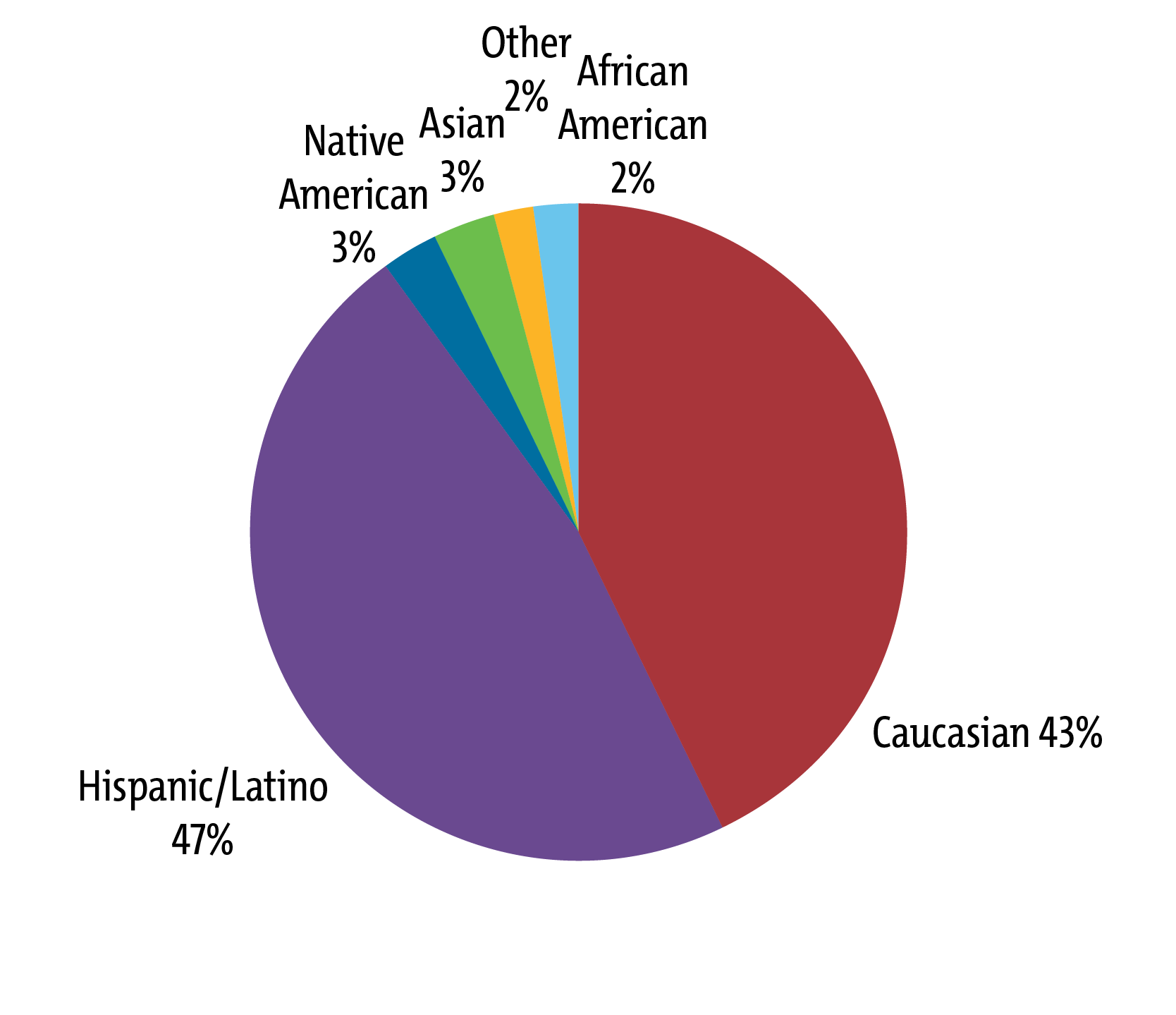 College students by ethnicity