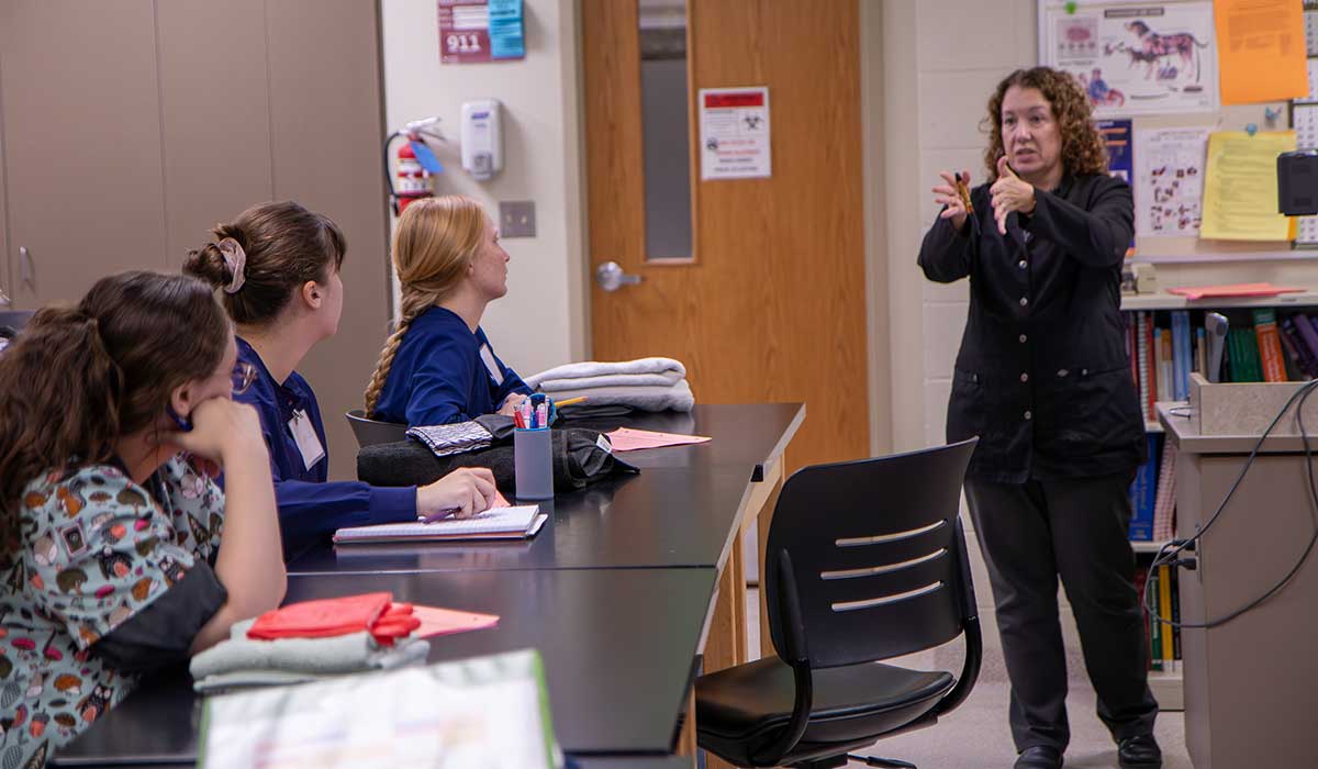 Joanna Fischer lectures to students during class