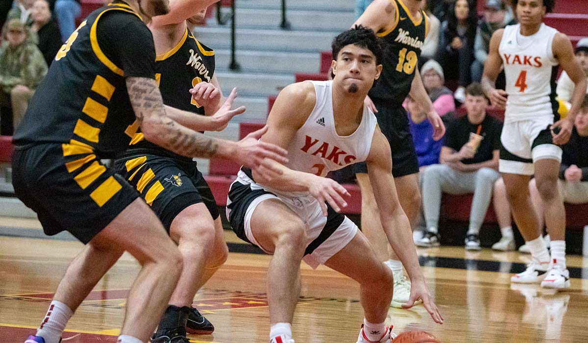 YVC men's basketball player Jose Brown dribbles around defenders