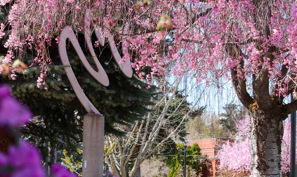 Sculpture and blossoms