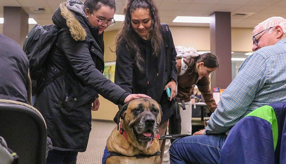 College students pet dog