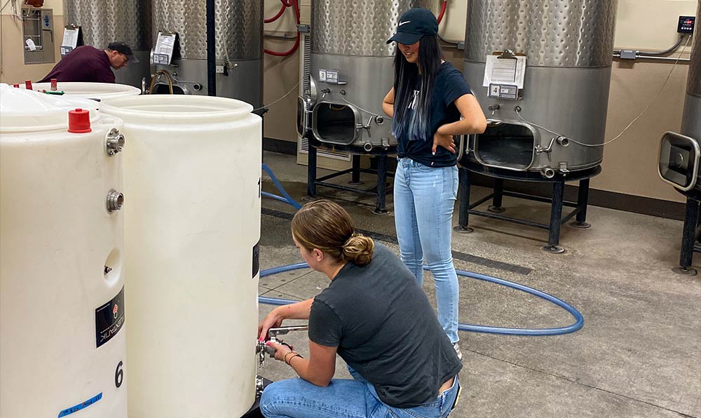 Students in wine production area