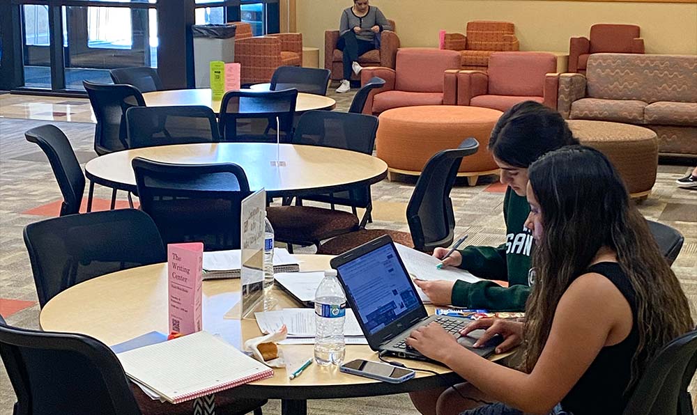 Two students study at table