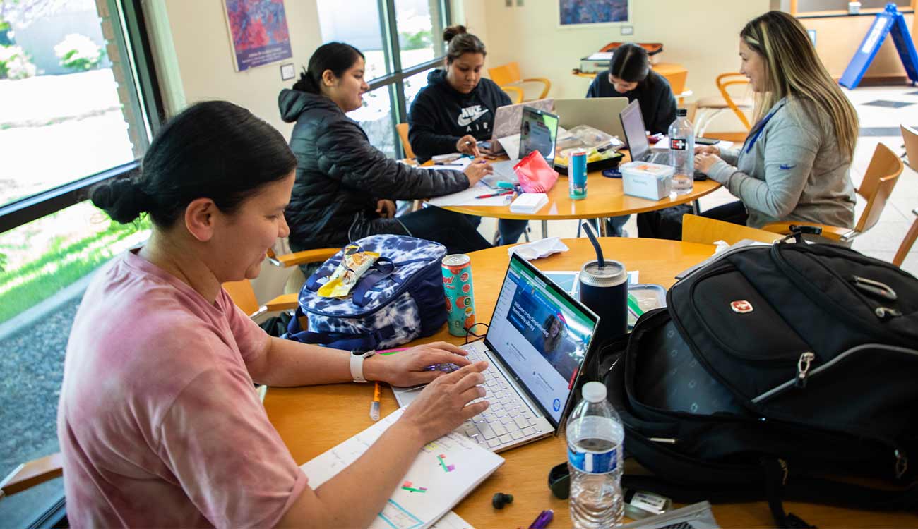 Students study at tables