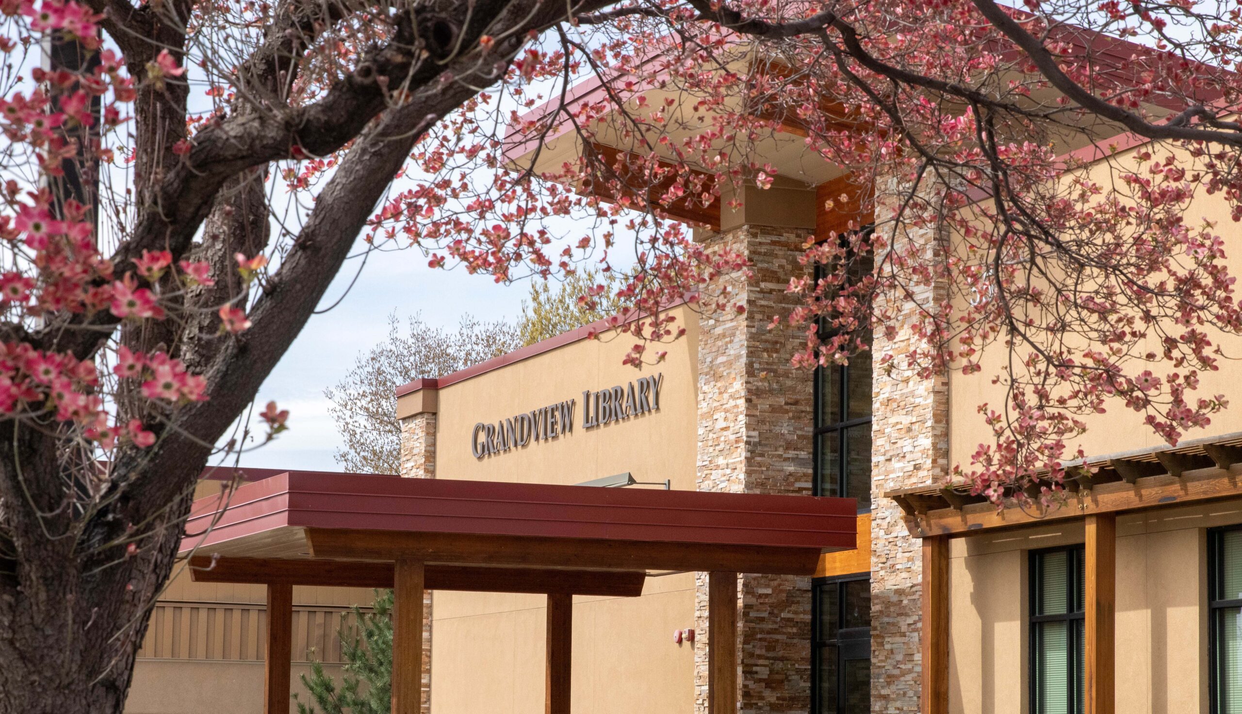 Blooming trees outside Grandview Library.