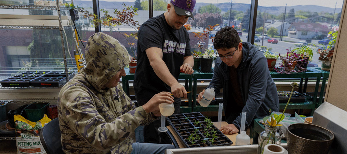 Group of three student work together on a science experiment involving plants. 