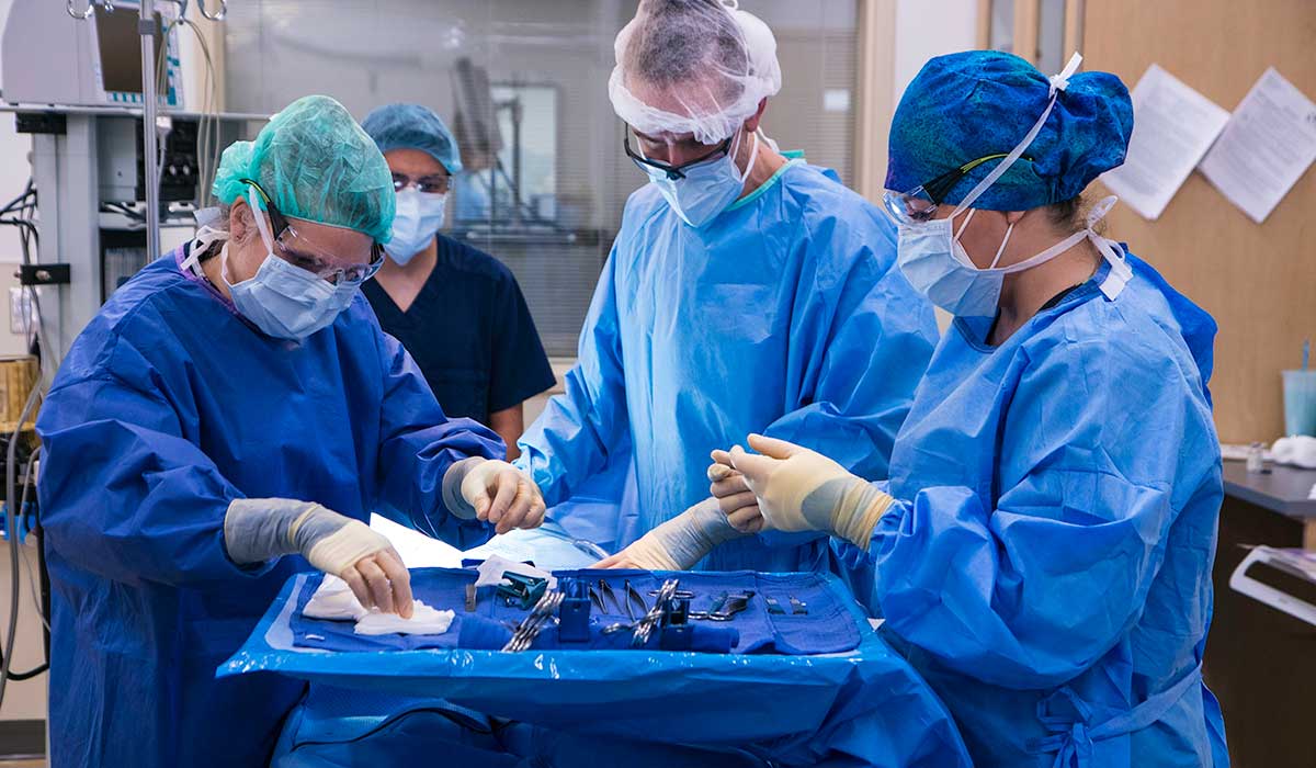 Students in surgical technician program examine tools