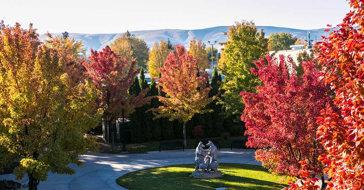 YVC's South campus courtyard in the fall