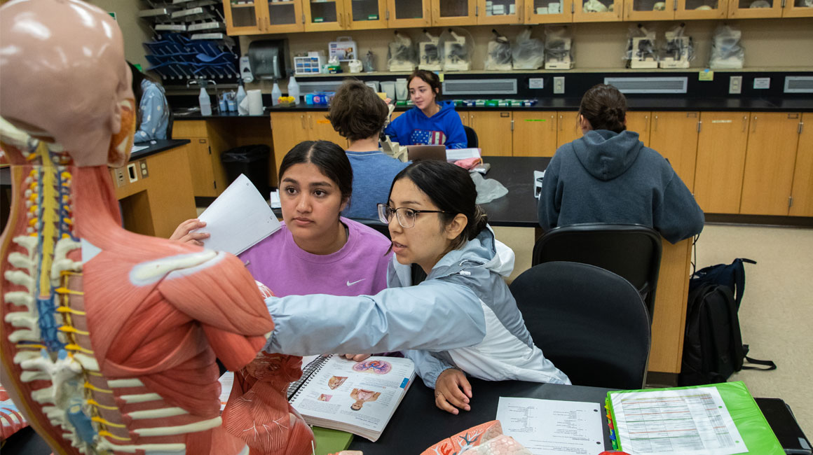 YVC Students work together on a test body during a STEM class. 